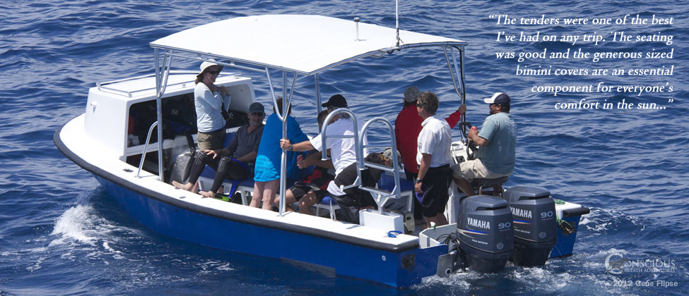 Whale Boat Seat & Shade Testimonial