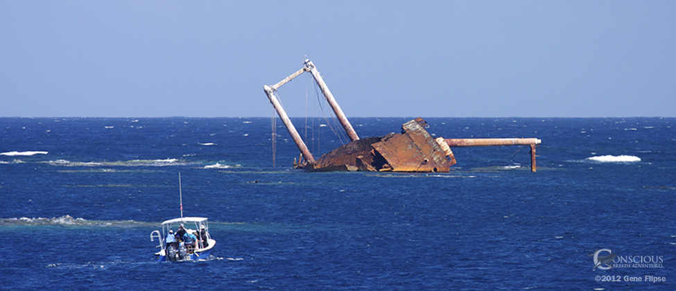Whale Boat & Wreck