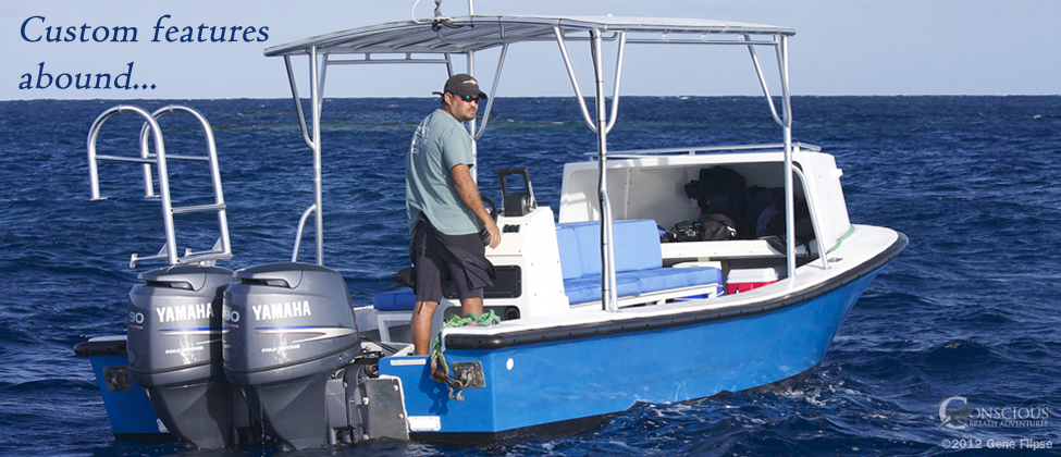Whale Boats Custom Features