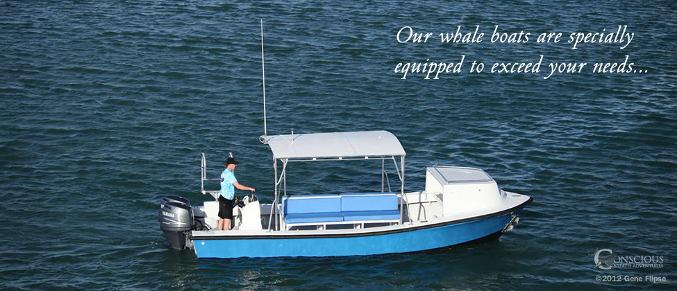 Whale Boats Specially Equipped