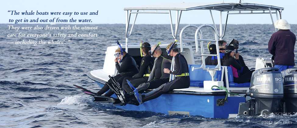 Whale Botas Easy to Use Testimonial