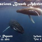 Conscious Breath Adventures' Cruise Report: Week 8, March 16-22, 2013