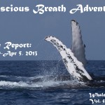 Conscious Breath Adventures' Cruise Report: Week 10, March 30-April 5, 2013
