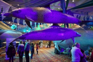 Hall of Whales at Whalefest 2012