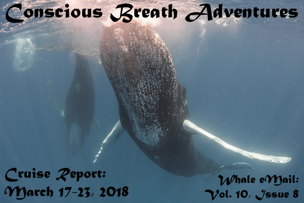 Conscious Breath Adventures' Cruise Report, Mar. 17-23, 2018