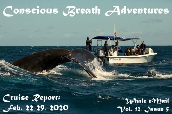 Conscious Breath Adventures Cruise Report, Week 5: Feb 22-29, 2020