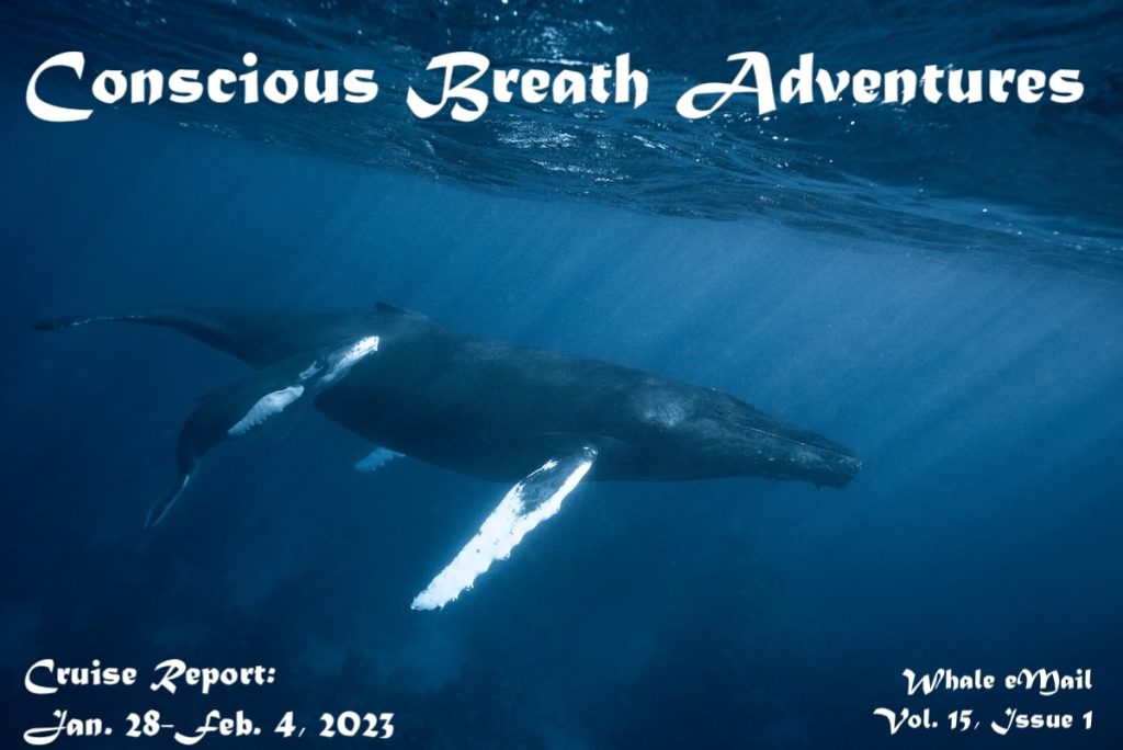 Conscious Breath Adventures' Cruise Report, Jan 28-Feb 4, 2023