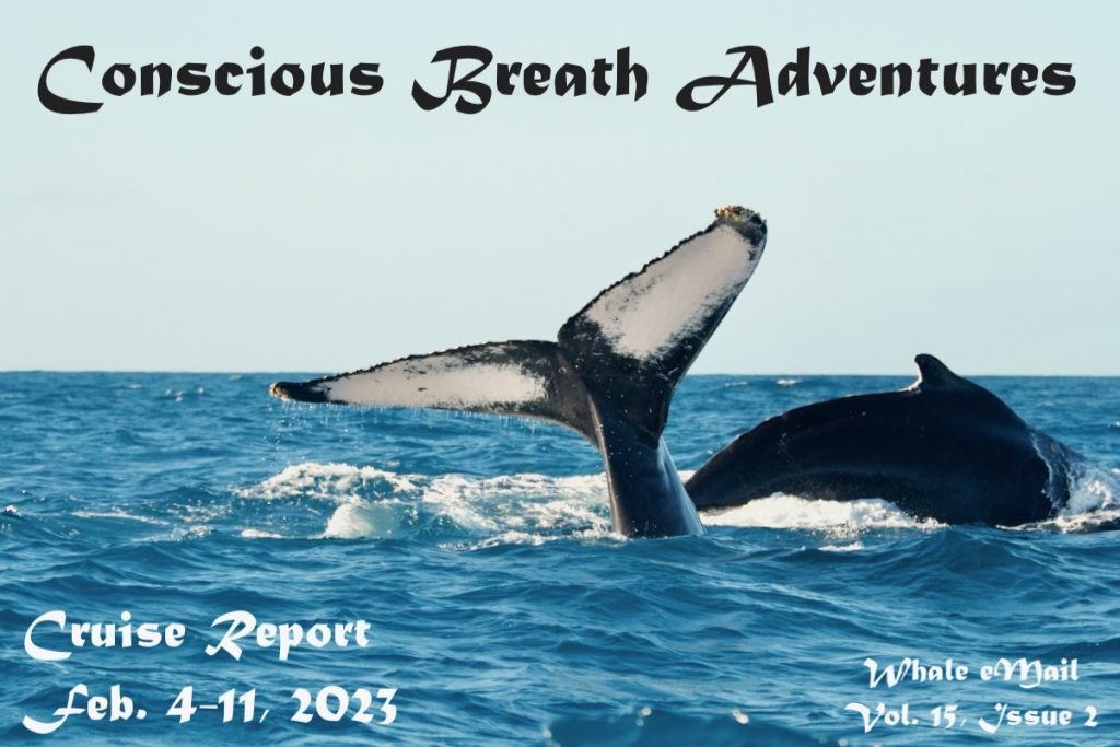 Conscious Breath Adventures' Cruise Report: Feb 4-11, 2023